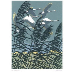 Whooper Swans Linoprint Card - Art Angels by Robert Gilmor