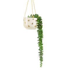 Sass & Belle Queen Bee Hanging Planter