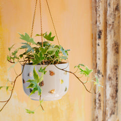 Sass & Belle Queen Bee Hanging Planter