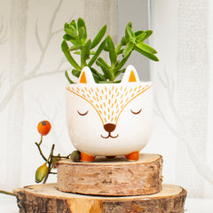 Sass & Belle Mini Woodland Fox Planter