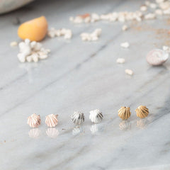 Amanda Coleman Gold Clamshell Stud Earrings
