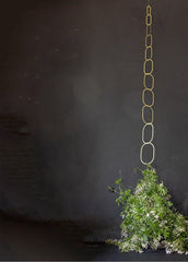 Botanopia Brass Plant Support For Climbing Plants
