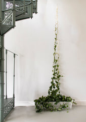Botanopia Brass Plant Support For Climbing Plants