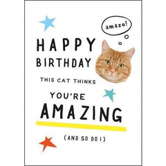 Pigment Productions Cat Thinks You’re Amazing