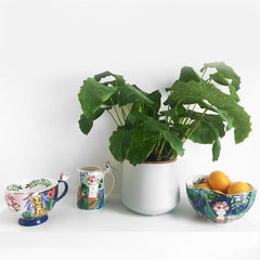 House of Disaster Frida Kahlo Tropical Jug