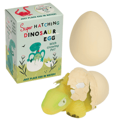 Rex London Hatching Dinosaur Egg