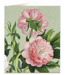Archivist - Peony On Green Greetings Card