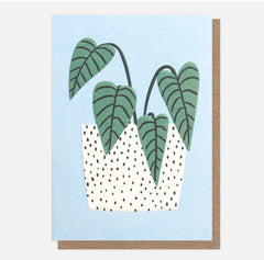 Caroline Gardner - Plant In Pot Everyday Card