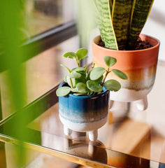 Sass & Belle Mojave Glaze Blue Mini Planter