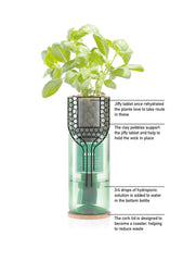 Hydro-Herb Kit - Basil