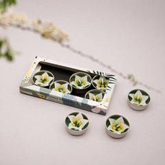 Hana Blossom - White Campanula Scented Tealights