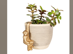 Sass & Belle Golden Monkey Planter Hanger