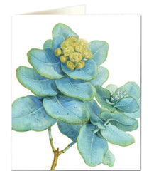 Natural History Museum Eucalyptus Card