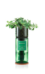 Hydro-Herb Kit- Oregano