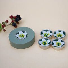 Hana Blossom - White Campanula Scented Tealights