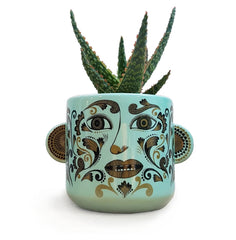 Lush Designs - Clown Plant Pot Jade