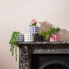 Sass & Belle Pink Bobble Planter