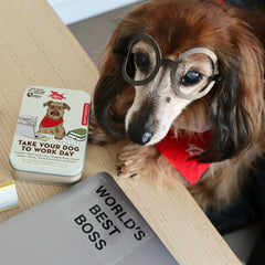 Kikkerland - Kobe Take Your Dog To Work Day Kit
