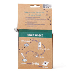 Huckleberry Cast-A-Track