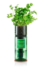 Hydro-Herb Kit - Coriander