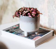 Sass & Belle Mojave Glaze Grey Planter