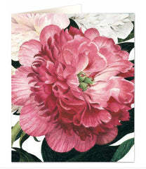 Archivist - Pink Peony Greetings Card
