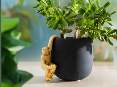 Sass & Belle Golden Monkey Planter Hanger