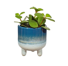Sass & Belle Mojave Glaze Blue Mini Planter