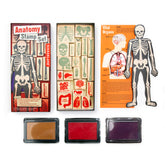 Kikkerland - Anatomy Stamp Set