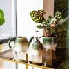 Sass & Belle Mojave Glaze Green LARGE Planter