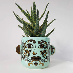 Lush Designs - Clown Plant Pot Jade