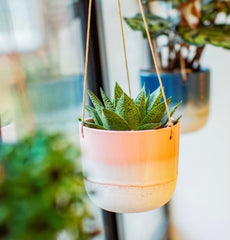 Sass & Belle Mojave Pink Hanging Planter
