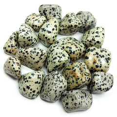 Lotus & Lapis Dalmatian Jasper Tumblestone