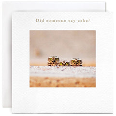 Susan O’Hanlon Did Someone Say Cake Birthday Card