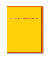Sunshine of My Life Card - 1973