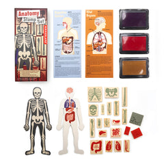 Kikkerland - Anatomy Stamp Set