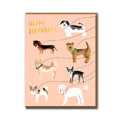 Out For a Walk Birthday Card - 1973