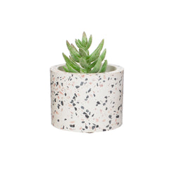 Sass & Belle Terrazzo Mini Planter