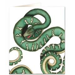 Natural History Museum Canine Boa George Shaw Card