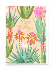 Noi Publishing Happy Birthday Aloe Vera Card