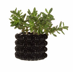 Sass & Belle Black Bobble Planter