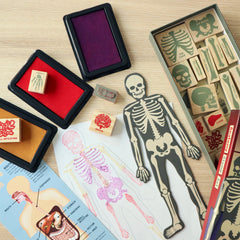 Kikkerland - Anatomy Stamp Set