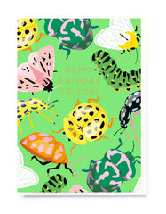 Noi Publishing Beetles Birthday Card