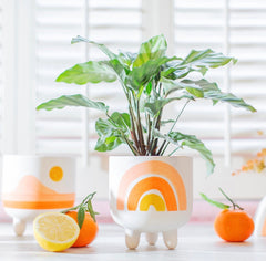 Sass & Belle Rainbow Planter On Legs