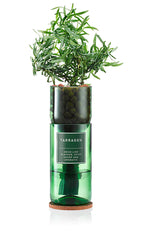 Hydro-Herb Kit- Tarragon