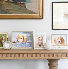 Addison Ross Chiffon Enamel & Gold Frame