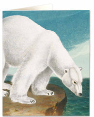 Natural History Museum Polar Bear Card