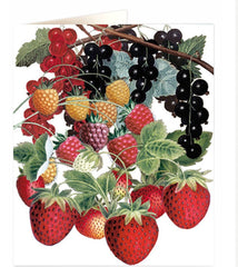Archivist - Fruits of Summer Greetings Card