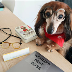 Kikkerland - Kobe Take Your Dog To Work Day Kit