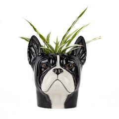Quail French Bulldog Pencil Pot